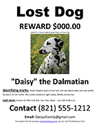 Free MS Word "Lost Dog or Missing Dog Poster Template
