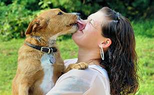 Photo of woman holding a dog who is kissing her